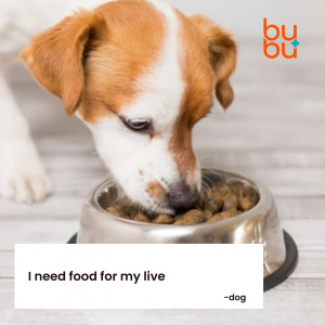 Dog eat dog food